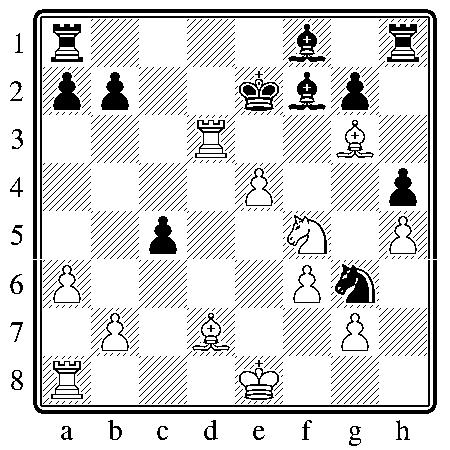 chess250613.JPG